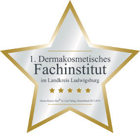 Kosmetikstudio Ludwigsburg Stuttgart Erstes Dermakosmetisches Fachinstitut Landkreis